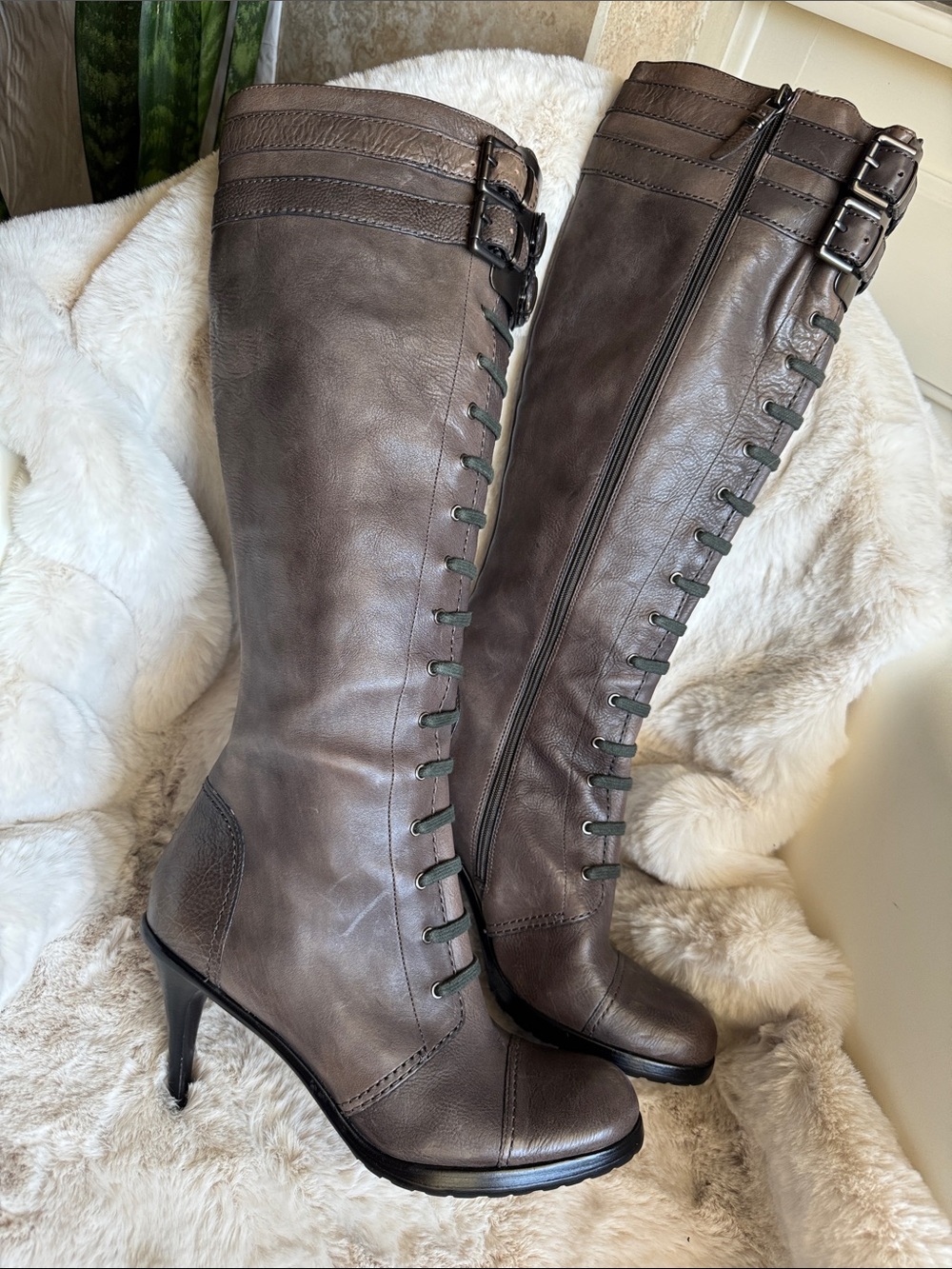 Via Spiga full Leather Tall Lace-Front Buckle Boots in Brown Taupe
